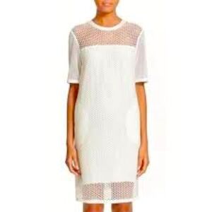 Rag & Bone silk Luna mesh mini dress size XS, white